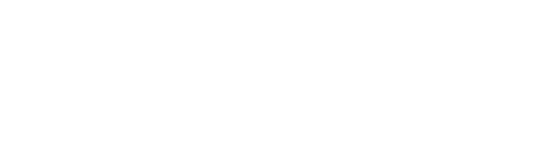 Saziwazi Security Services